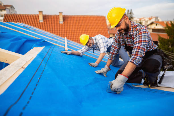 Best Flat Roofing  in Bartonvle, IL