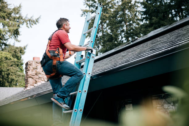 Best Asphalt Shingles Roofing  in Bartonvle, IL